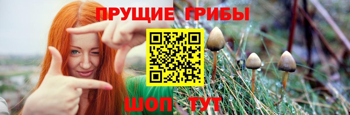 Альфа ПВП Ногинск